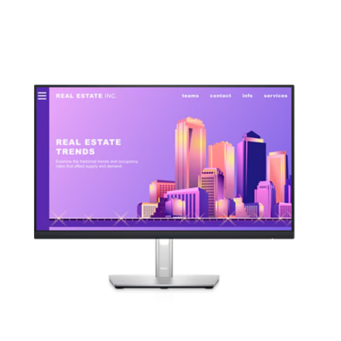 Dell 24 Monitor - P2422H