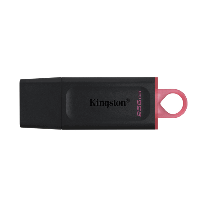 USB FLASH KINGSTON 256 GB USB3.2 - Image 2