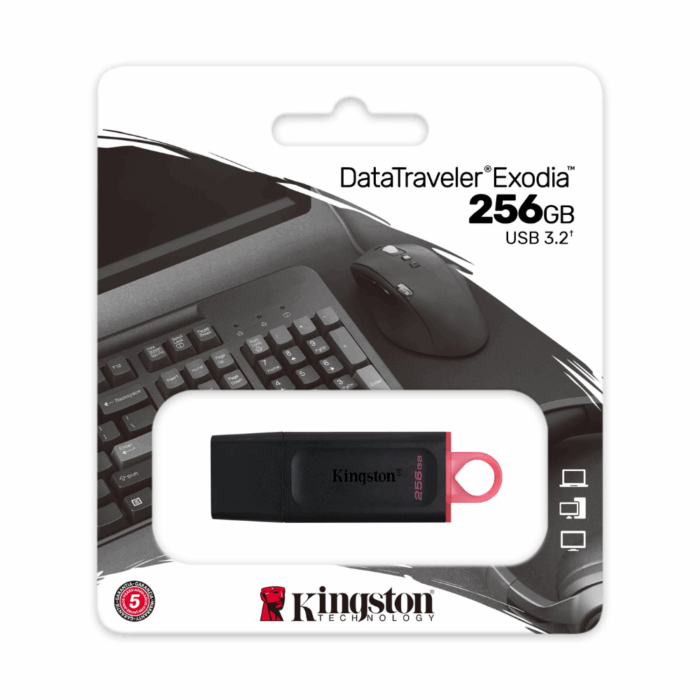 USB FLASH KINGSTON 256 GB USB3.2