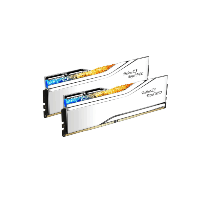 DDR5 GSKILL TRIDENT Z5 ROYAL NEO RGB KIT 2X24 8000 EXPO-SILVER